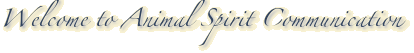 Welcome to Animal Spirit Communication