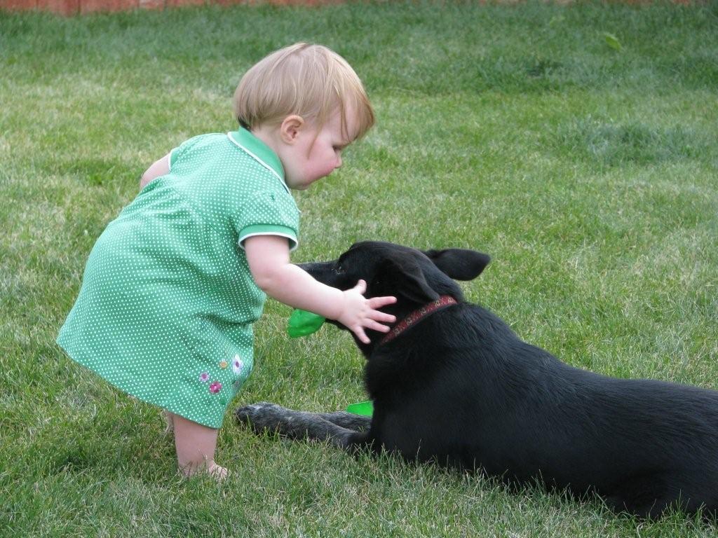 Hailee and her new friend